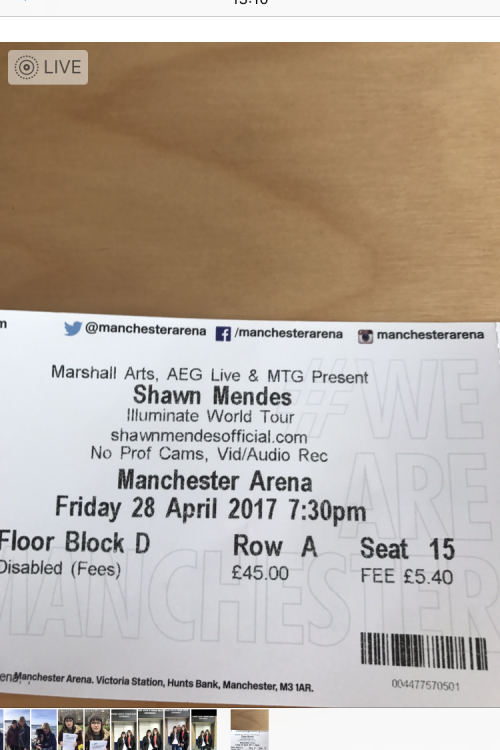 Shawn Mendes Concert Experience