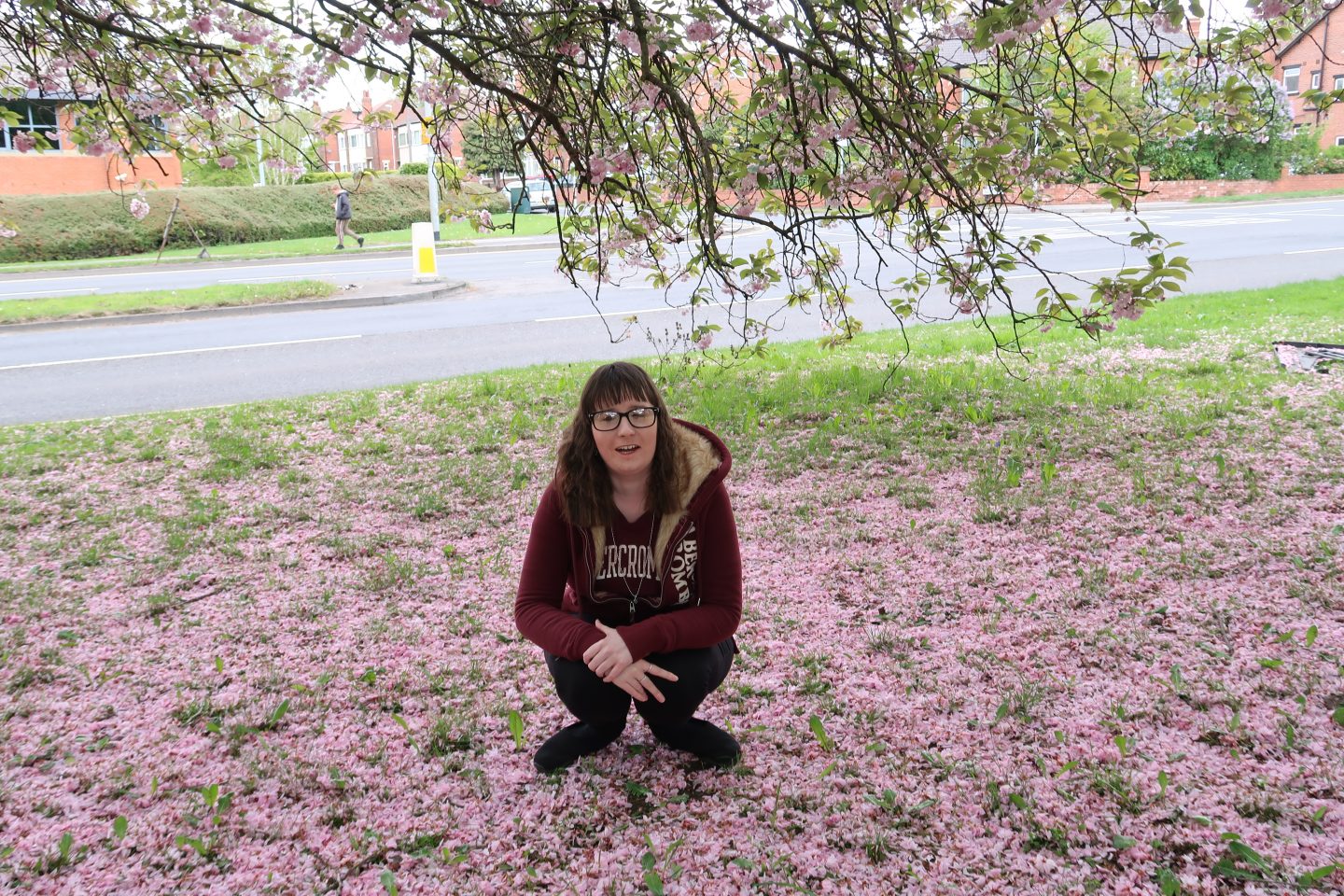 Holly crouching in some blossom on the grass