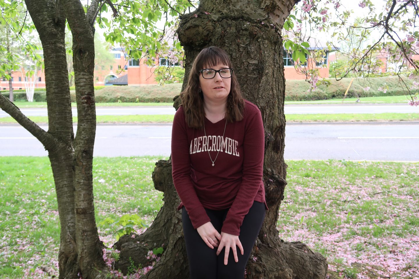 A photo of Holly sat on a tree trunk