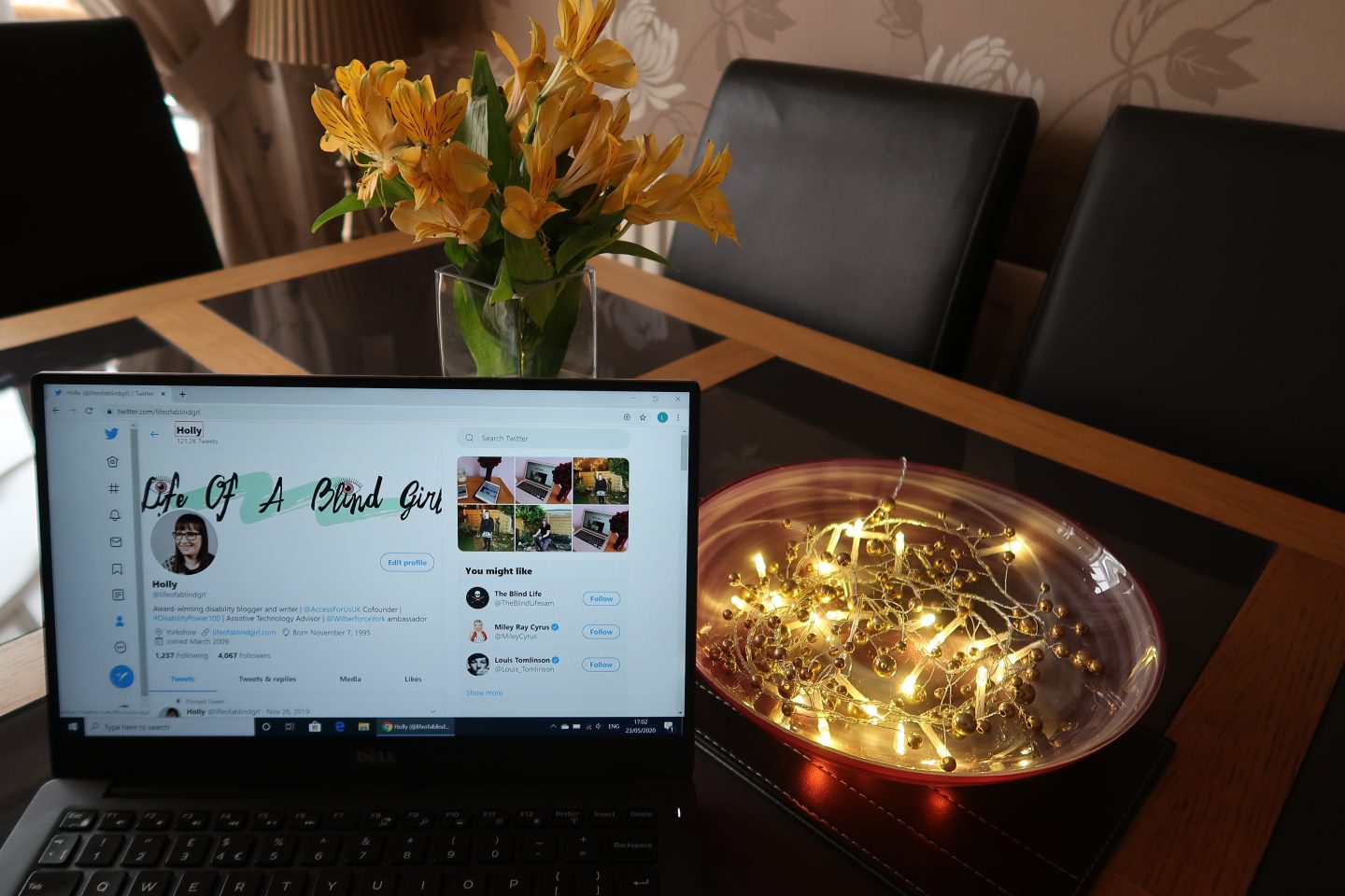 Holly's Twitter profile on a laptop screen, there are lights in a red bowl and a vase of yellow flowers behind