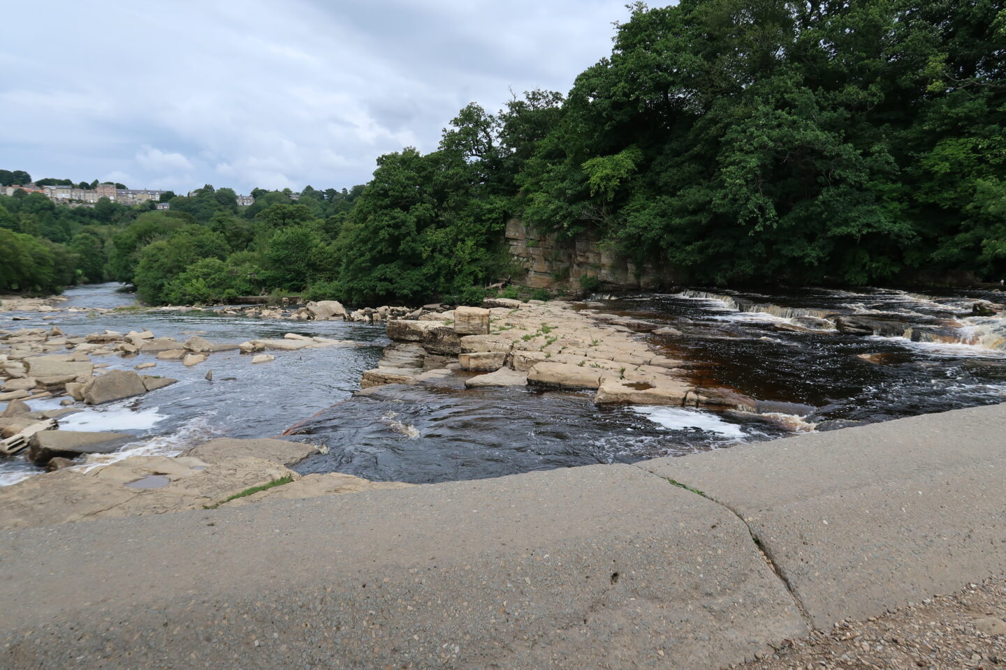 A waterfall flowing into a stoney river with a mass of green trees in the background.