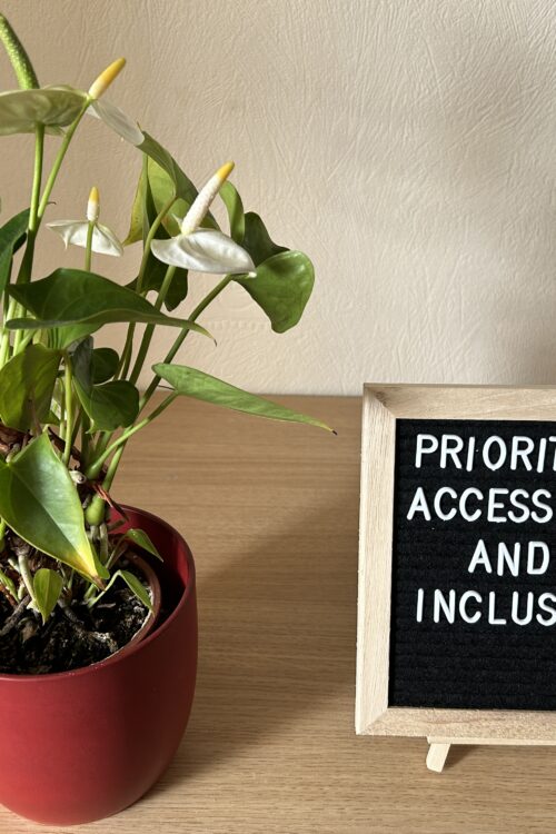 A black felt letterboard in a light wooden frame on a mini easel sits on a desk with a leafy plant with white flowers in a red pot next to it. The board has white letters that spell out ‘prioritise accessibility and inclusion’.