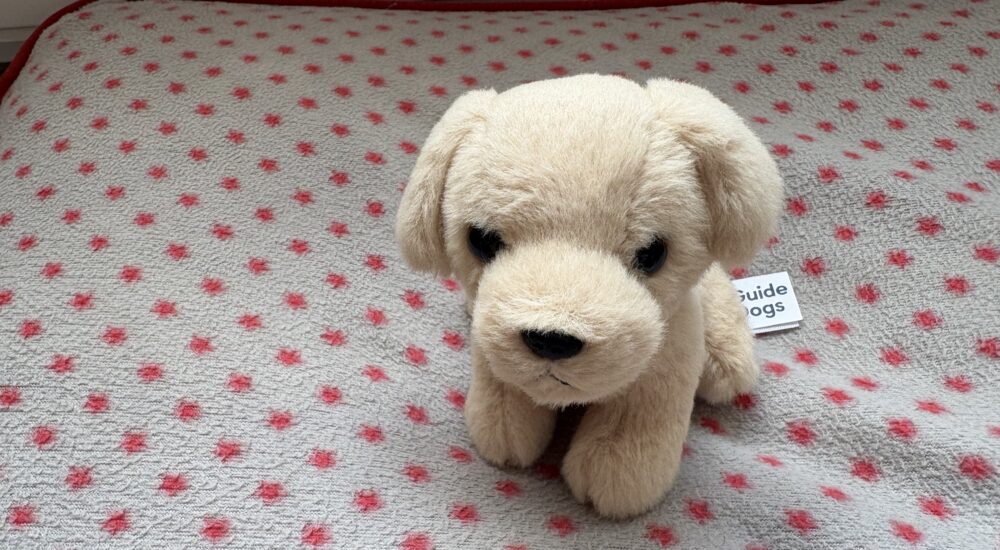 Attending a Guide Dogs client day: My experience