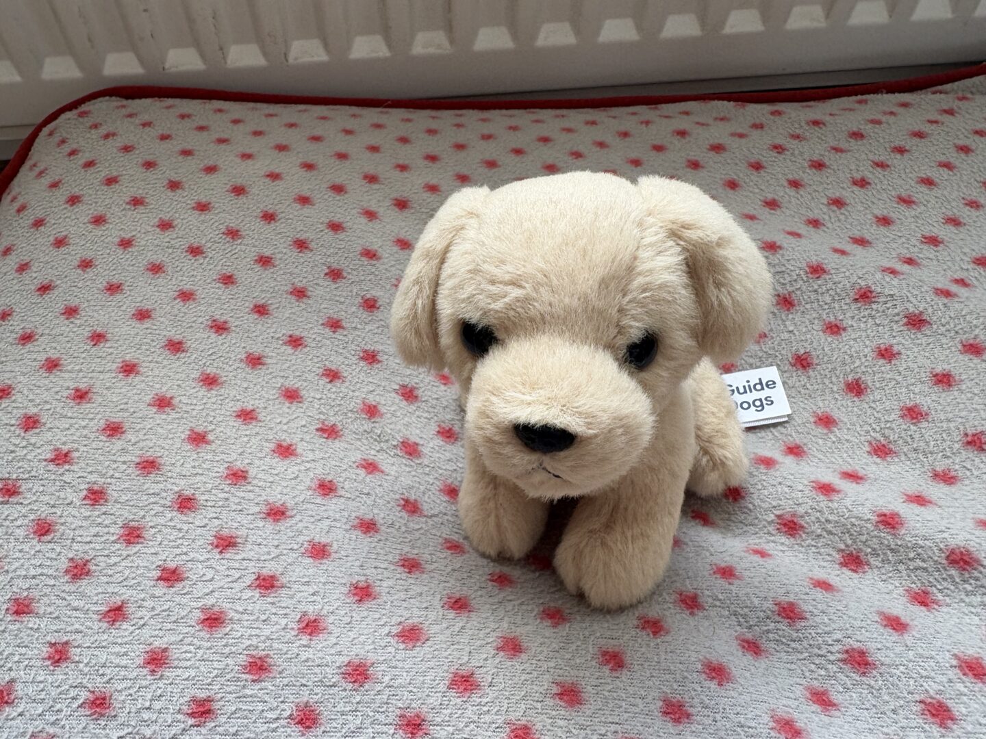 A small soft toy puppy with light beige fur sat on a grey dog bed with red dots. The puppy is sitting upright with its front paws close together and its back legs tucked under. It has floppy ears, round black eyes, and a small black nose and mouth stitched in a neutral expression. A fabric tag is attached near the back with text that reads “Guide Dogs.”